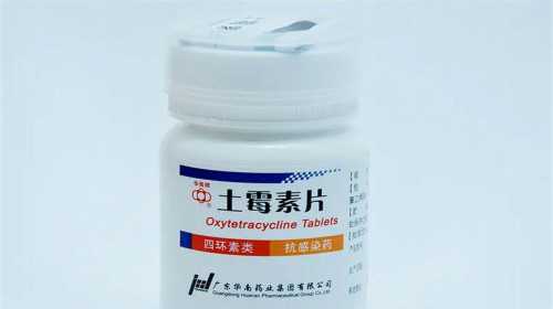 捐卵公司价格深度解析：宫外孕该如何及早发现与应对？